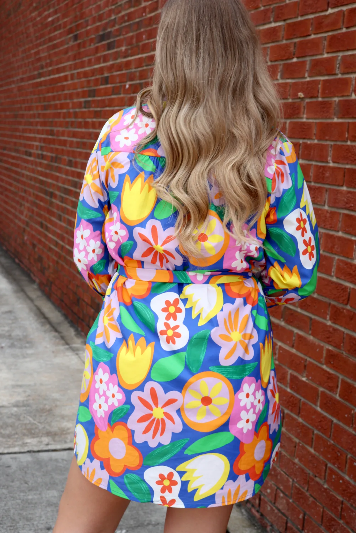 Bold Garden Embroidered Dress