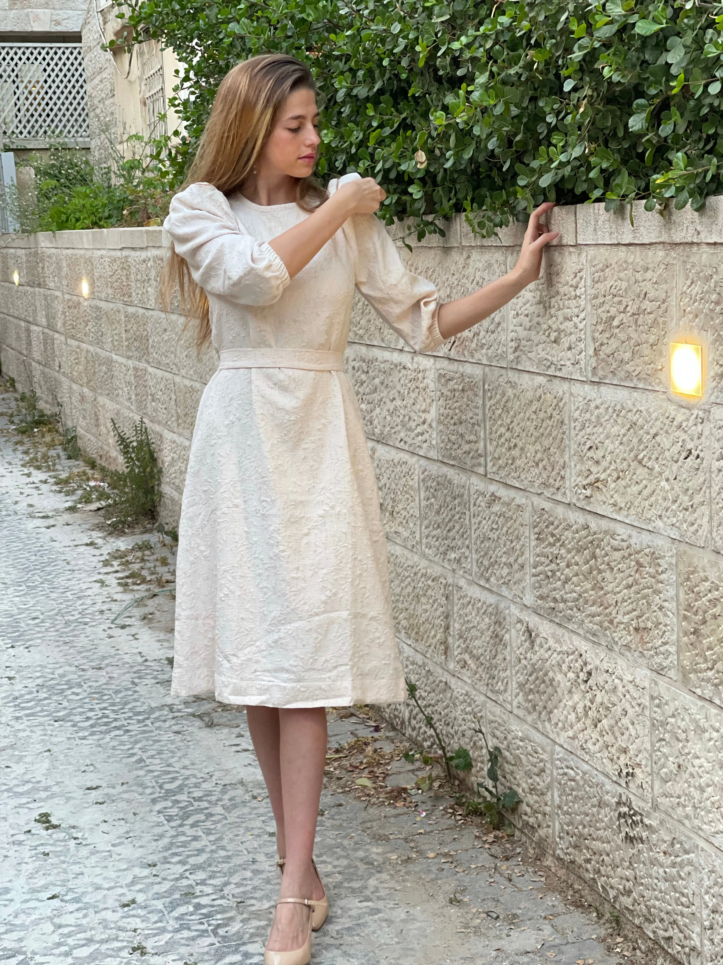 Brocade Elegant Dress / Pudra