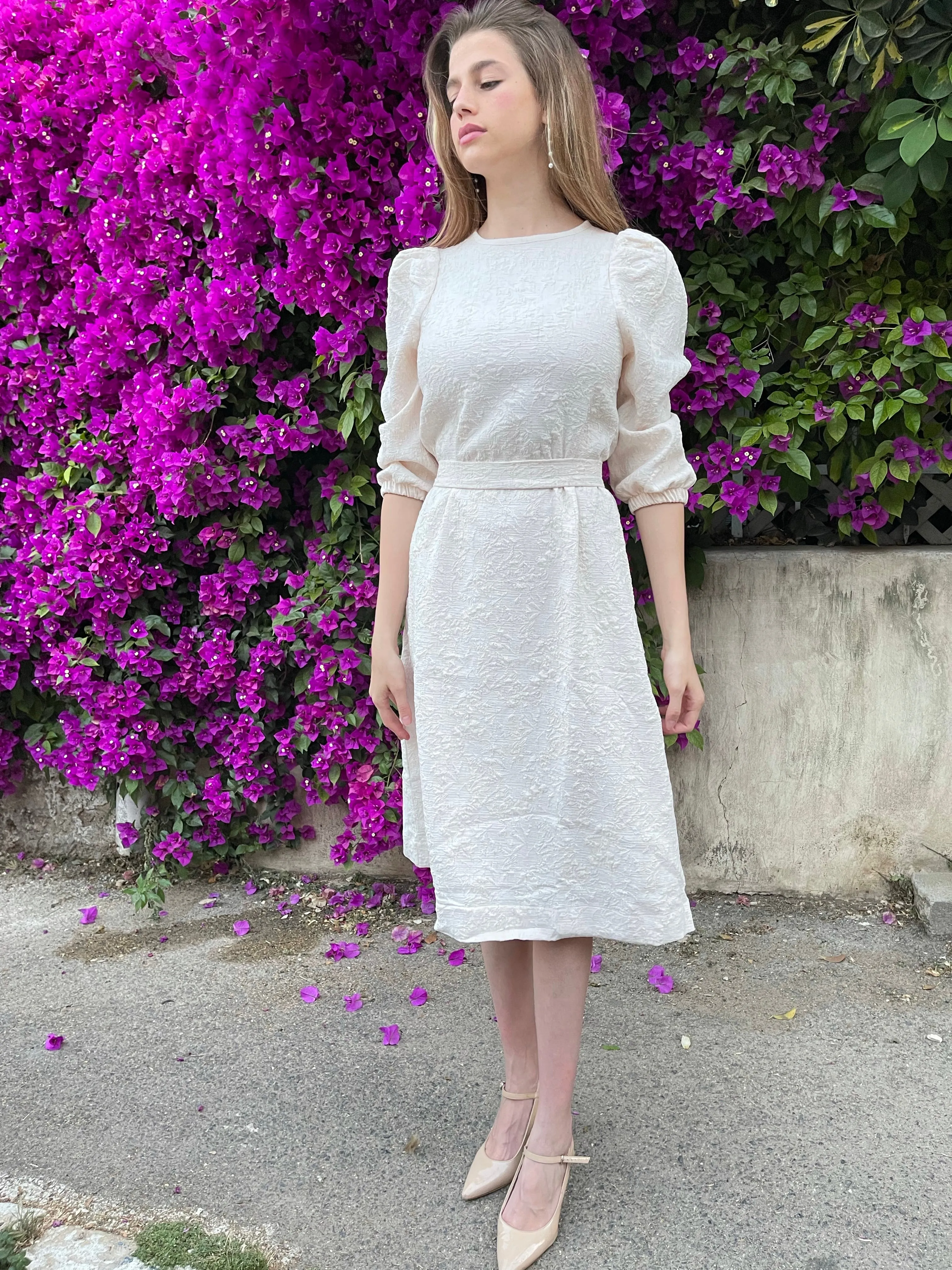 Brocade Elegant Dress / Pudra