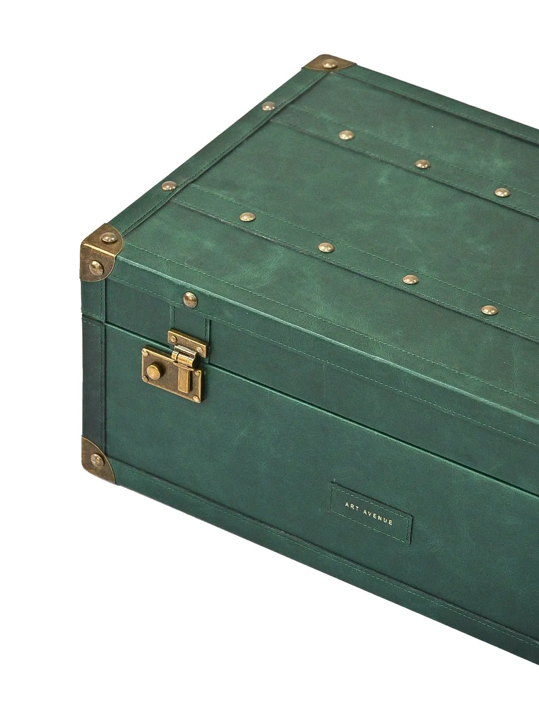 ELEGANT - LEATHER TRUNK