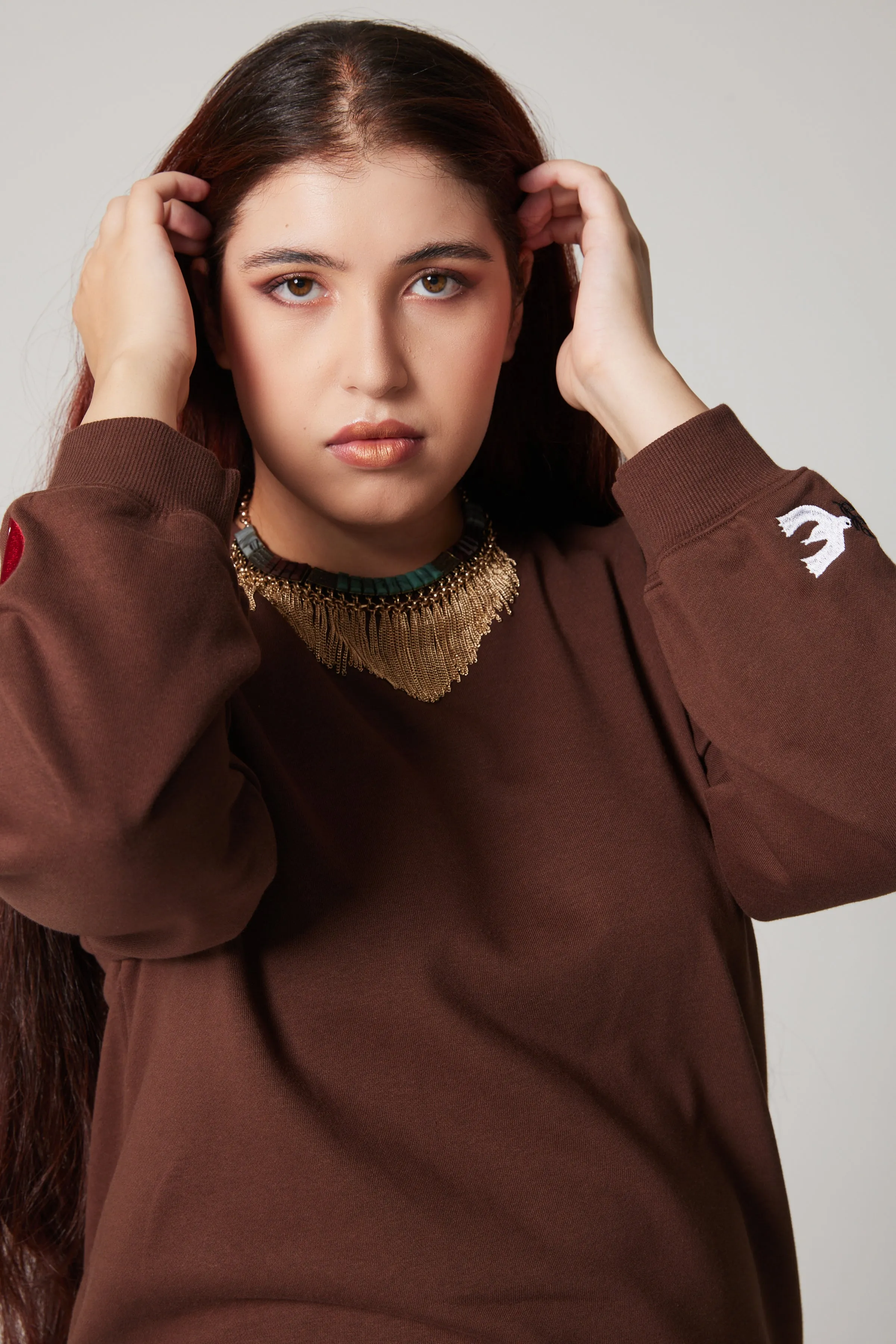 Embroidered Sweatshirt - Brown